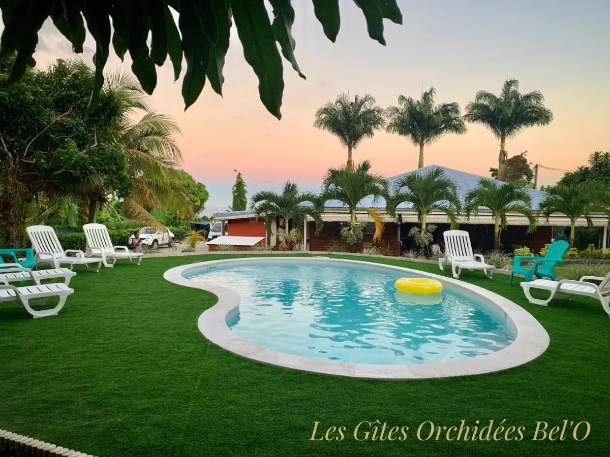 Les Gites Orchidees Bel'O Capesterre-Belle-Eau Dış mekan fotoğraf