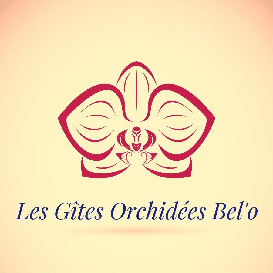 Les Gites Orchidees Bel'O Capesterre-Belle-Eau Dış mekan fotoğraf